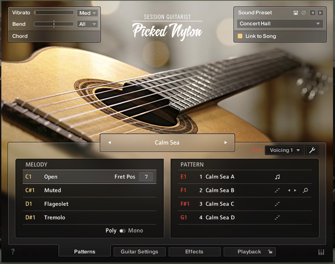 Native Instruments Session Guitarist - Picked Nylon